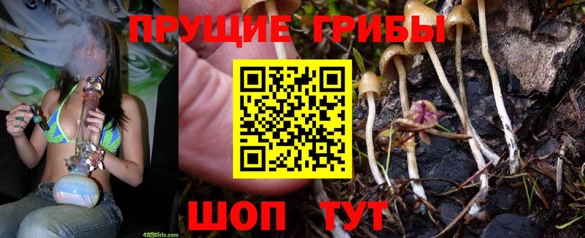 ГАШ Мытищи