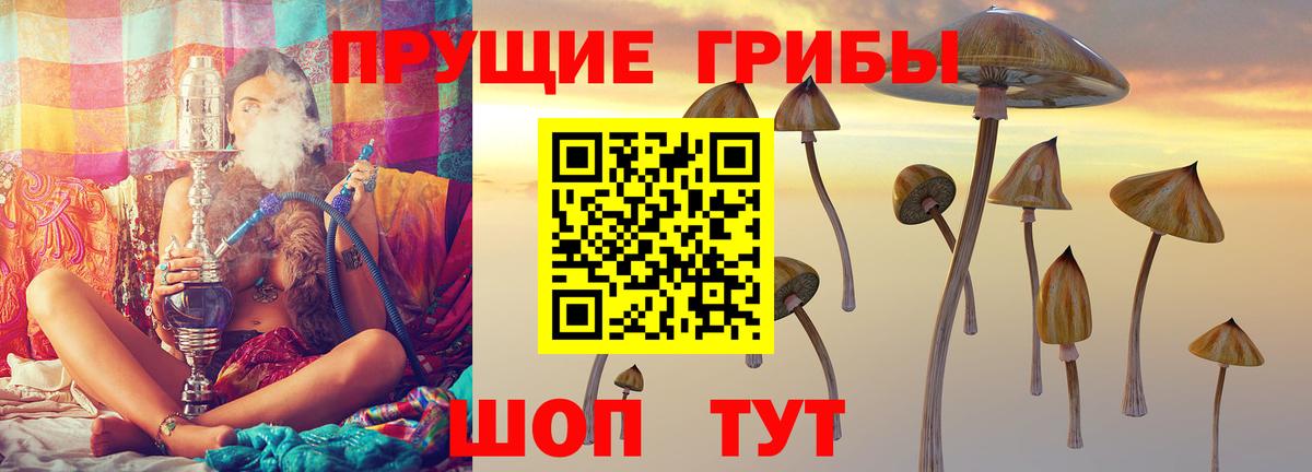 Галлюциногенные грибы Psilocybine cubensis  Псилоцибиновые грибы Psilocybe  наркота  Вход с VPN  Мытищи 